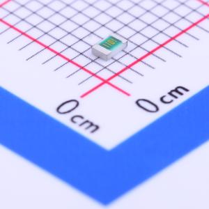 RN732ATTD1101B25商品缩略图