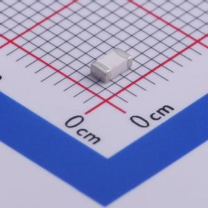 1206SFF200F/63-2商品缩略图