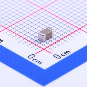 1206X106M160NT商品缩略图