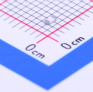 RN731JTTD1300B25商品缩略图