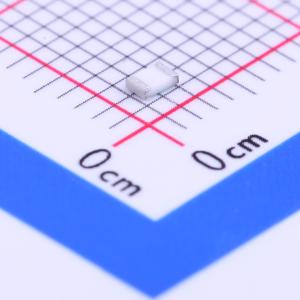 RN732ATTD4302B25商品缩略图