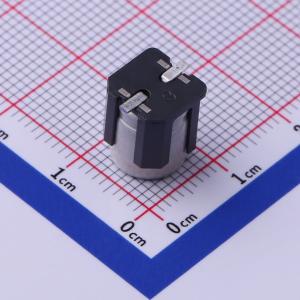 EEHZA1V101V商品缩略图