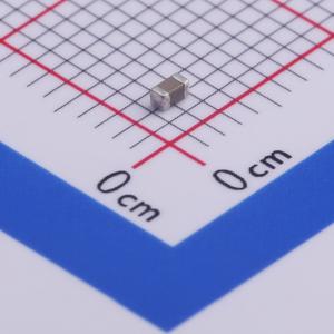 10uF ±10% 6.3V