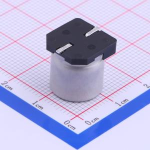 VEJ100M2GTR-1313商品缩略图