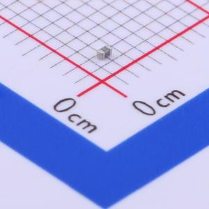 C1005NPO109BGT商品缩略图