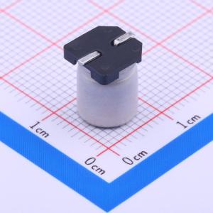 VT1H101M-CRF10商品缩略图