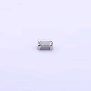 FV31N101J202ECG商品缩略图