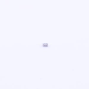 C1005NP0109CGT商品缩略图