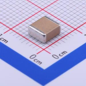 FS55X105K251EGG商品缩略图