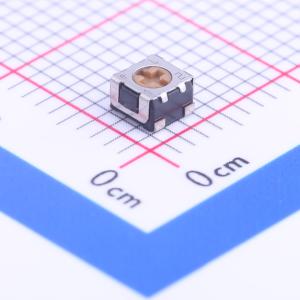 100Ω ±20%