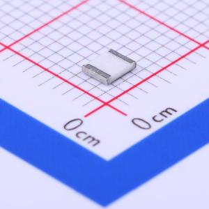 RL1210FR-070R05L商品缩略图