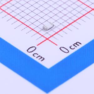 RMC06031.3M5%N商品缩略图