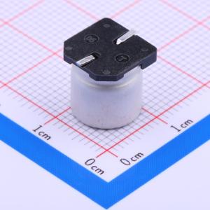 RVE1V331M1010商品缩略图