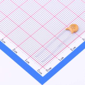 CC81-N5S2L1B101KSEW商品缩略图