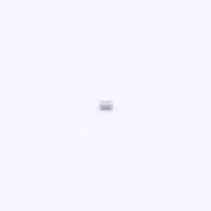 C1005NP0609DGT商品缩略图