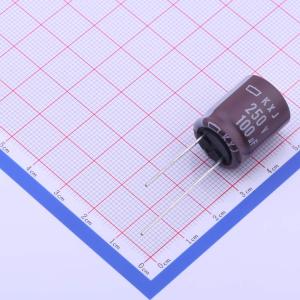 100uF ±20% 250V