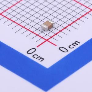 0805B101K250CT商品缩略图