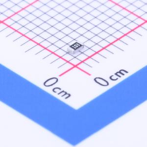 厚膜电阻 10kΩ ±5% 100mW