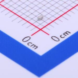 CQ0402ARNPO9BNR80商品缩略图