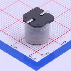 EEEHC0J102P商品缩略图