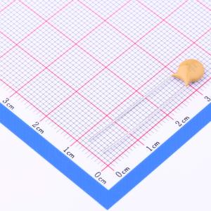 CT81-N6Y5P1B102KSEW商品缩略图