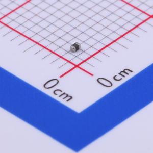 SZ1005G470TF商品缩略图