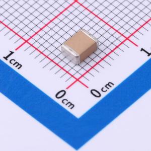 FS43X155K101EFG商品缩略图