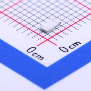 WR12X13R0FTL商品缩略图