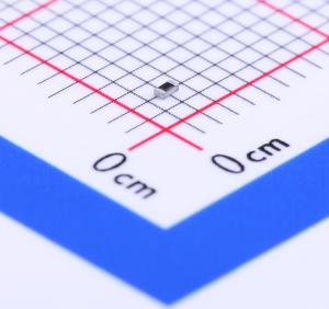 RN731ETTP1001B25商品缩略图