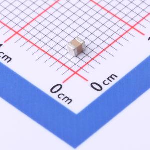 FS21B335K100EIG商品缩略图