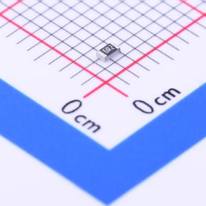 RCT036R2FLF商品缩略图