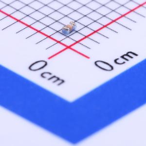 CS0402-8N2G-S商品缩略图