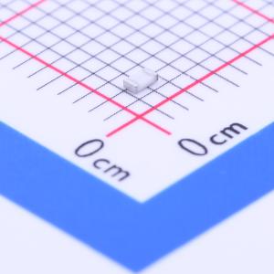 WR06X111JTL商品缩略图