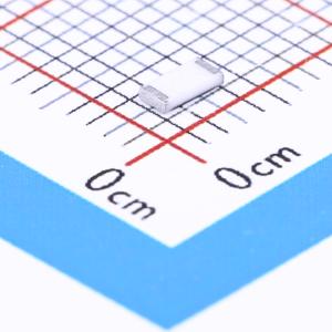 RL1206FR-070R22L商品缩略图