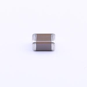 1210F106M250NT商品缩略图