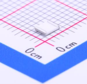 WR10X302JTL商品缩略图