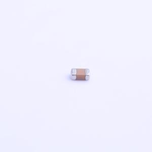 0805B101K101商品缩略图