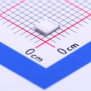 WR10X1000FTL商品缩略图