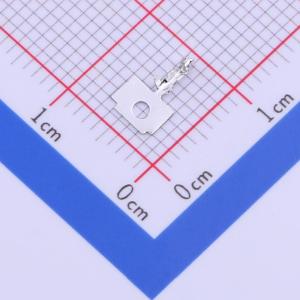 A1253-TP商品缩略图