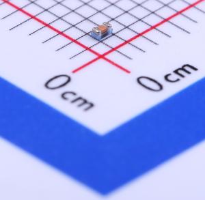 CS0402-68NJ-S商品缩略图