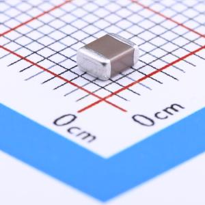 1210F106M160NT商品缩略图