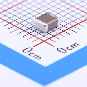 1210F106M160NT商品缩略图