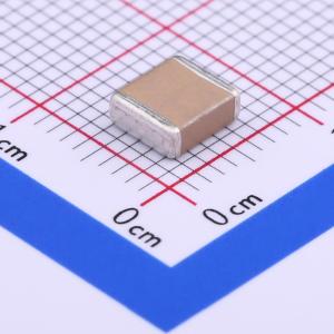 FS55X105K251EFG商品缩略图