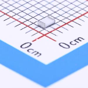 RC0805JR-07300KL商品缩略图