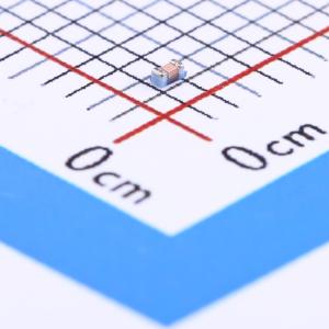 CS0402-27NG-S商品缩略图