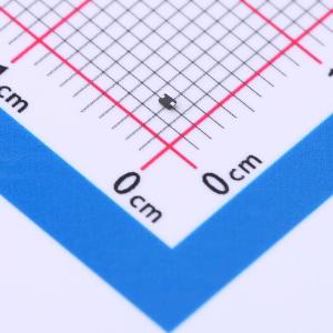 RB886CMT2R商品缩略图