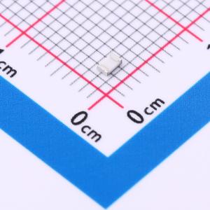 CRGP0805F100R商品缩略图