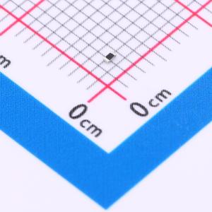 CPF0402B221RE1商品缩略图