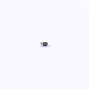 WSLP0603R0100FEA商品缩略图