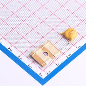 VY2222M35Y5US6TV0商品缩略图